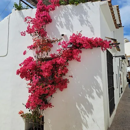 Apartamento Atico Roof